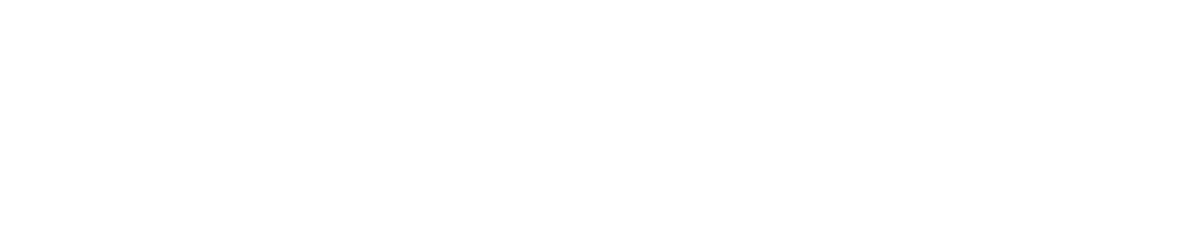 WAVESOUND  PROFESSIONAL